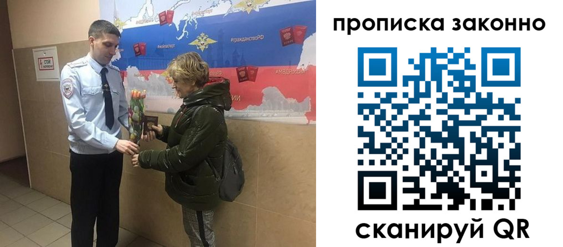 где прописаться в Каргополе